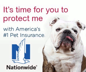 Nationwide Pet Insurance group discounts and savings for ...